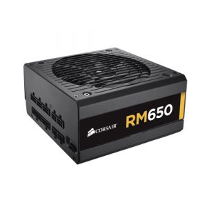 CORSAIR RM Series RM650 650 Watt 80 PLUS Gold Certified Fully Modular PSU SMPS CP-9020233-IN