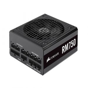 Corsair RM Series RM750 750 Watt 80 PLUS Gold Certified Fully Modular PSU CP-9020234-IN