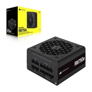 Corsair RM750E 750 Watt 80 Plus Gold ATX 3.0 Power Supply CP-9020262-IN