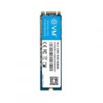 EVM 128GB M.2 SATA SSD EVMM2/128GB