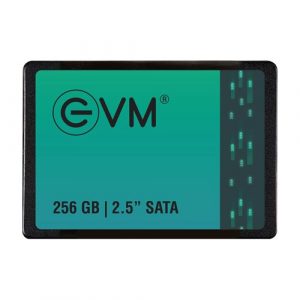 EVM 256GB 2.5 Inch SATA SSD EVM25/256GB