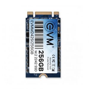 EVM 256GB 2242 M.2 SATA SSD EVMM242/256GB