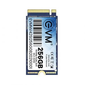 EVM 256GB 2242 NVMe SSD EVMNV42/256GB