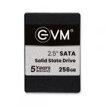 EVM 256GB 2.5 Inch SATA SSD EVM25/256GB