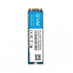 EVM 512GB M.2 SATA SSD EVMM2/512GB