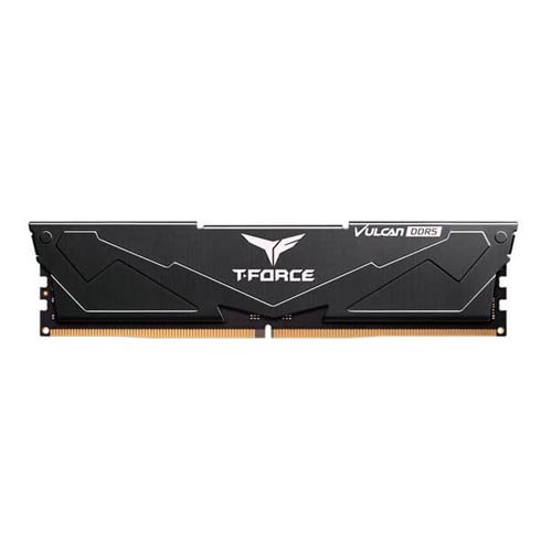 TeamGroup DDR5-6000 16GB [FLBD516G6000HC38A01] (16gb 1x16 vulcan)